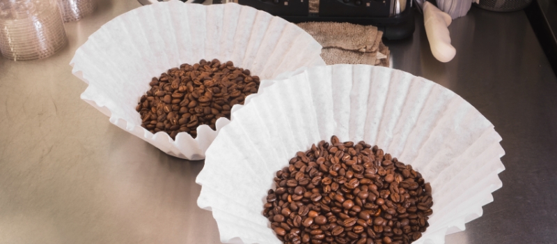 Coffee beans, not yet ground, in coffee filters.